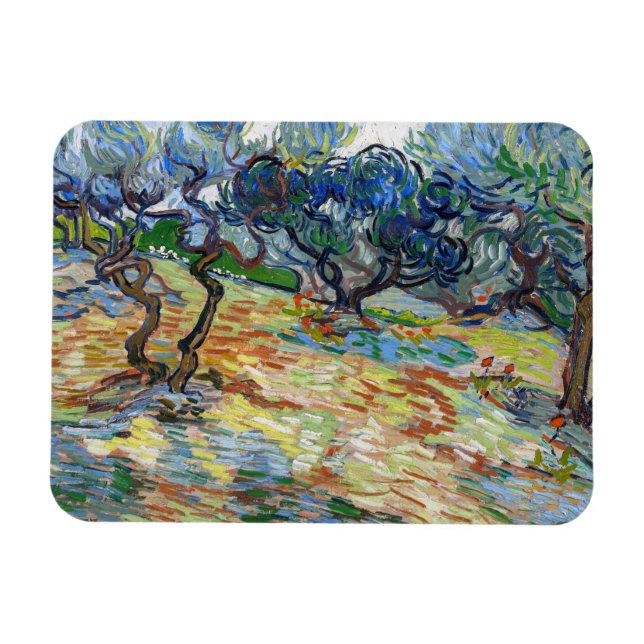 Vincent van Gogh - Olive Träd: Bright blå himmel Magnet (Horisontell)