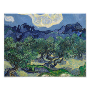 Vincent van Gogh - Olive Träd Fototryck