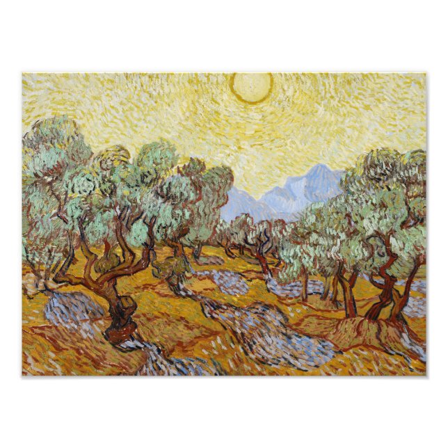 Vincent van Gogh - Olive Träd Fototryck (Framsidan)