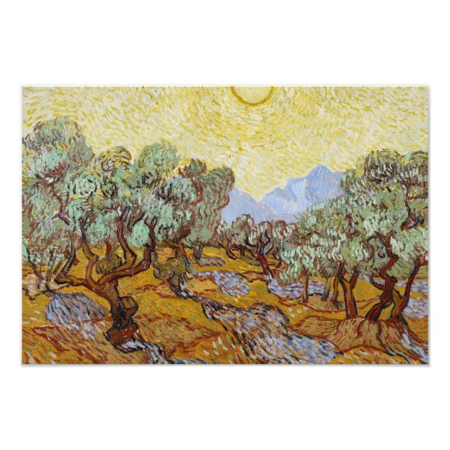 Vincent van Gogh - Olive Träd Fototryck (Framsidan)