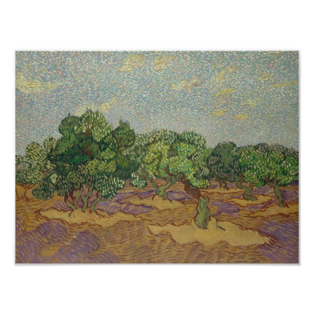 Vincent van Gogh - Olive Träd Fototryck (Framsidan)