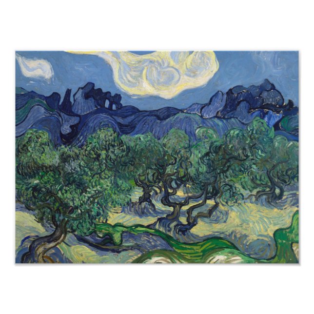Vincent van Gogh - Olive Träd Fototryck (Framsidan)