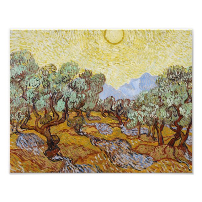 Vincent van Gogh - Olive Träd Fototryck (Framsidan)