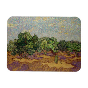 Vincent van Gogh - Olive Träd Magnet