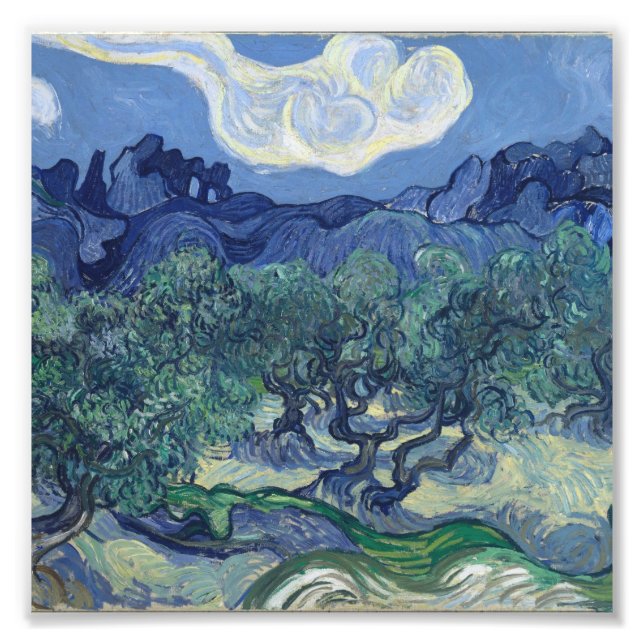Vincent Van Gogh - Olive Träd med Alpelare Fototryck (Framsidan)