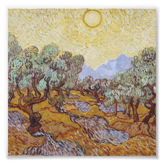 Vincent Van Gogh - Olive Träd med Gult Himlar Fototryck (Framsidan)
