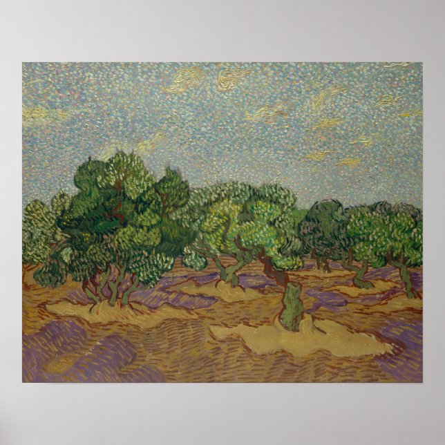 Vincent van Gogh - Olive Träd Poster (Framsidan)