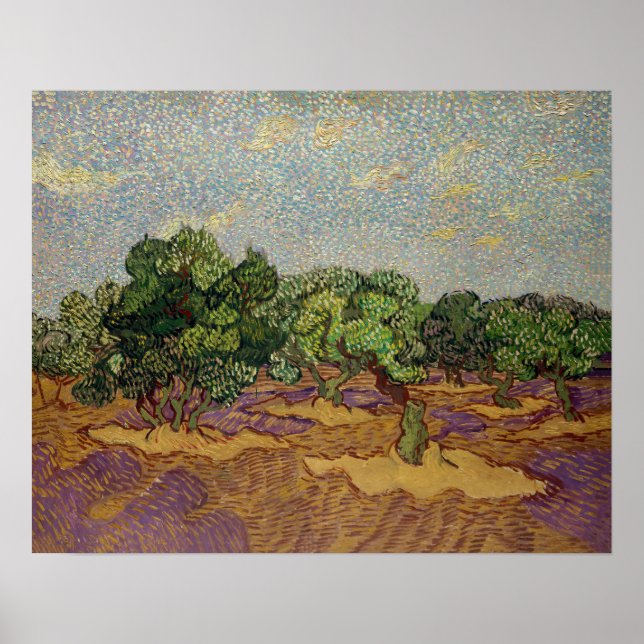 Vincent van Gogh - Olive Träd Poster (Framsidan)