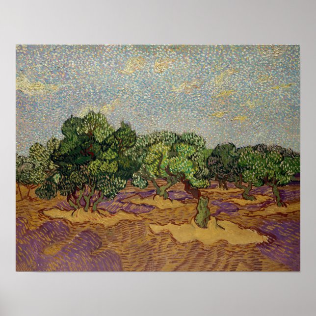 Vincent van Gogh - Olive Träd Poster (Framsidan)