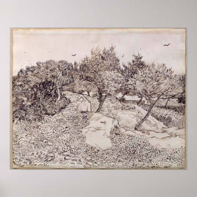 Vincent van Gogh | Olive Träd Poster (Framsidan)