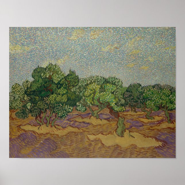 Vincent van Gogh - Olive Träd Poster (Framsidan)