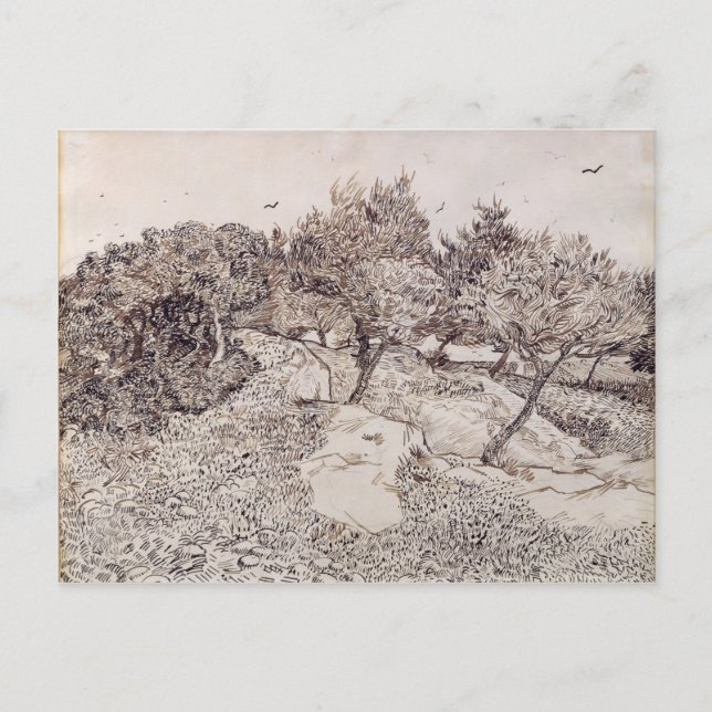 Vincent van Gogh | Olive Träd Vykort (Framsida)