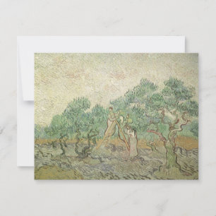 Vincent van Gogh - Olivinskörd