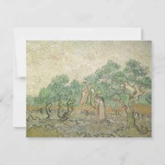 Vincent van Gogh - Olivinskörd