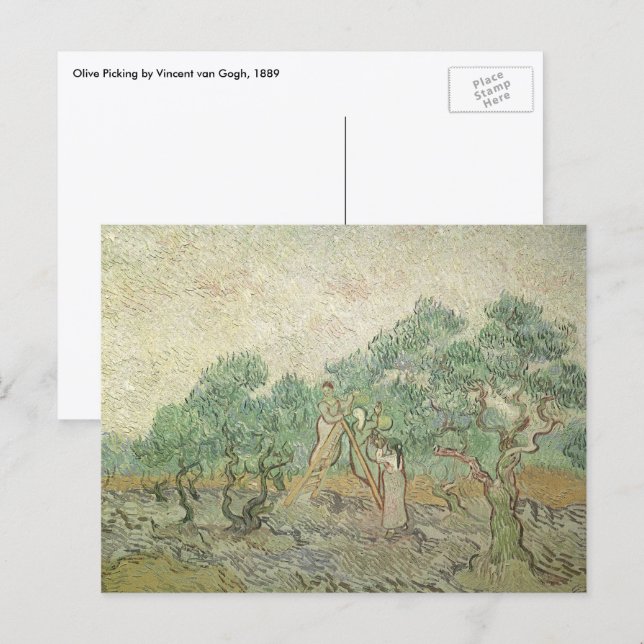 Vincent van Gogh - Olivinskörd Vykort (Fram/baksida)