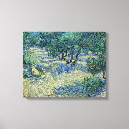 Vincent van Gogh - Olivlund Canvastryck