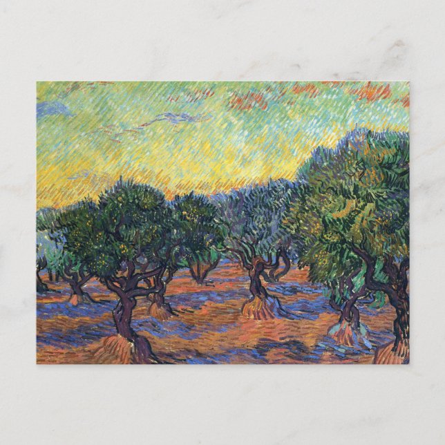 Vincent Van Gogh Olivlund Impressionism Konst Vykort (Framsida)