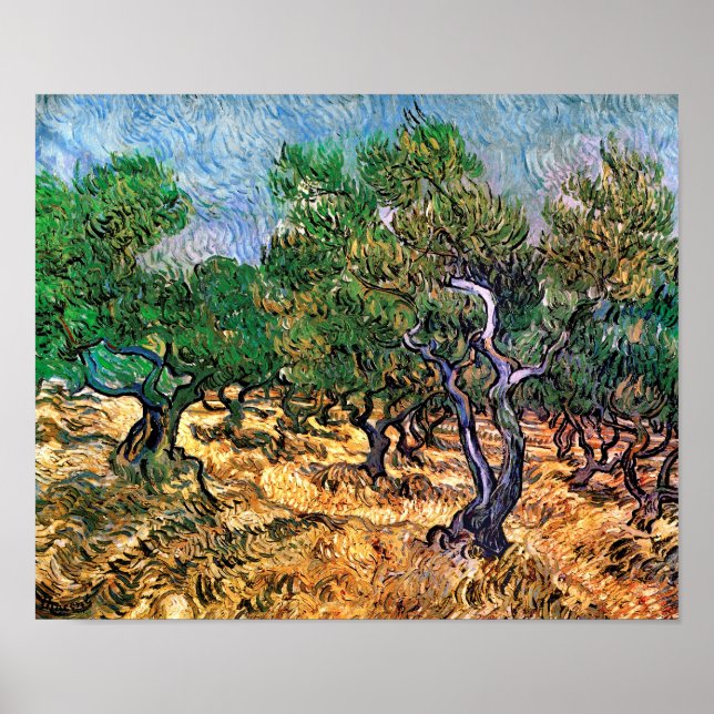 Vincent Van Gogh - Olivlund Konstverk Poster (Framsidan)