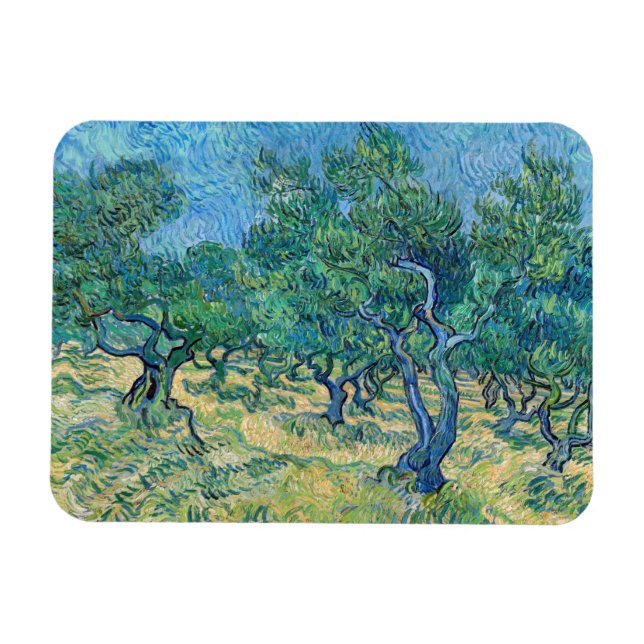 Vincent van Gogh - Olivlund Magnet (Horisontell)
