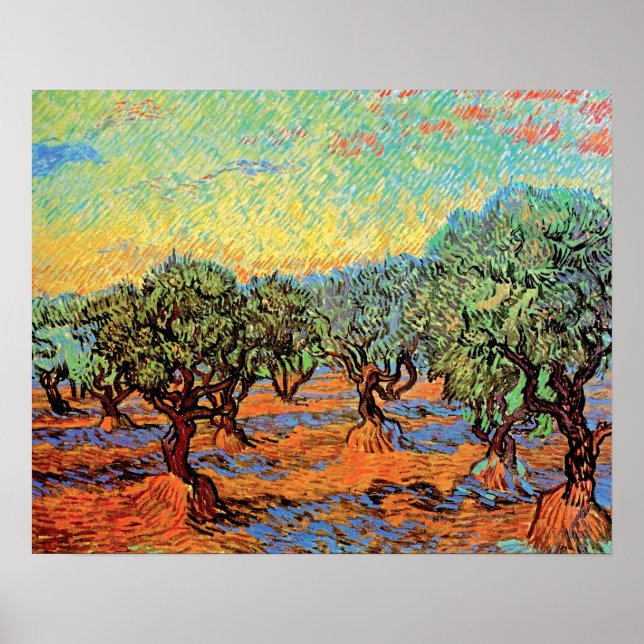 Vincent Van Gogh - Olivlund med orange himmel Poster (Framsidan)