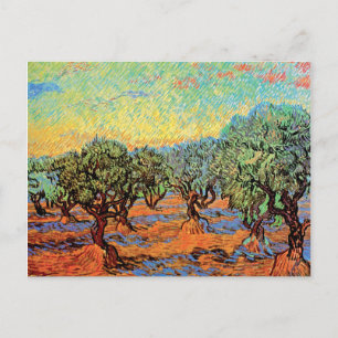 Vincent Van Gogh - Olivlund med orange himmel Vykort