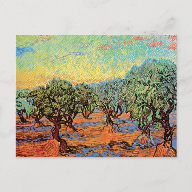 Vincent Van Gogh - Olivlund med orange himmel Vykort (Framsida)