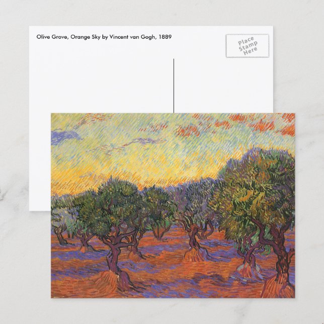 Vincent van Gogh - Olivlund, orange himmel Vykort (Fram/baksida)