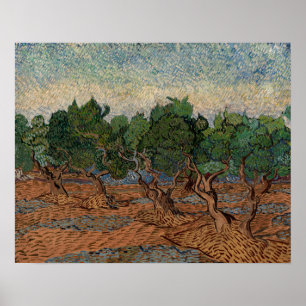 Vincent van Gogh - Olivlund Poster