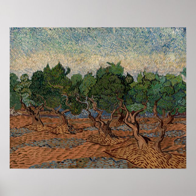 Vincent van Gogh - Olivlund Poster (Framsidan)