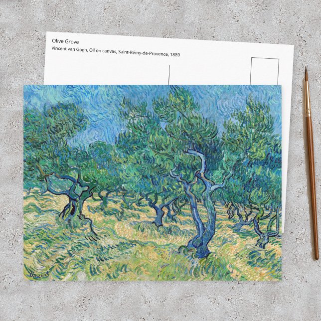 Vincent van Gogh - Olivlund Vykort (Skapare uppladdad)