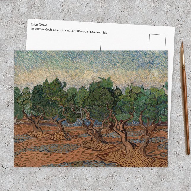 Vincent van Gogh - Olivlund Vykort (Skapare uppladdad)
