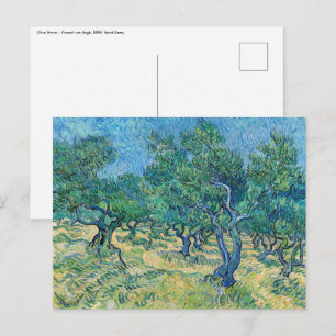 Vincent van Gogh - Olivlund Vykort