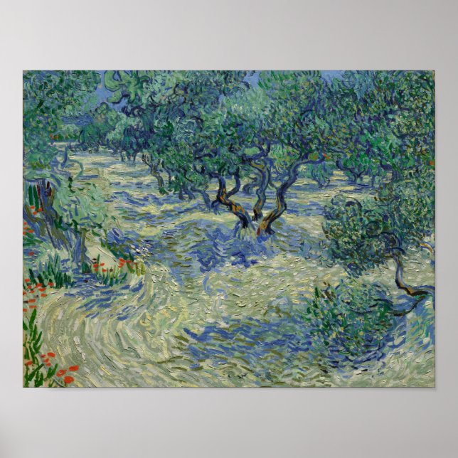 Vincent van Gogh - Olivlundaffisch Poster (Framsidan)