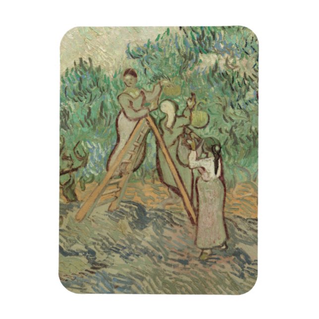 Vincent Van Gogh | Olivodlingen Magnet (Vertikal)
