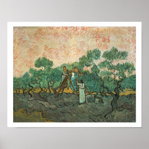 Vincent van Gogh Olivplockare, Saint-Remy Poster