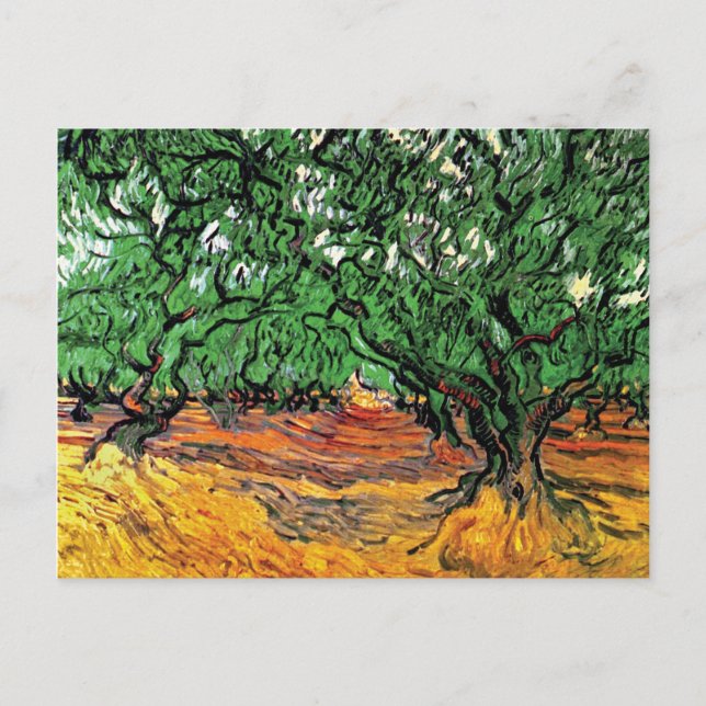Vincent Van Gogh - Olivträd Fine Art Vykort (Framsida)