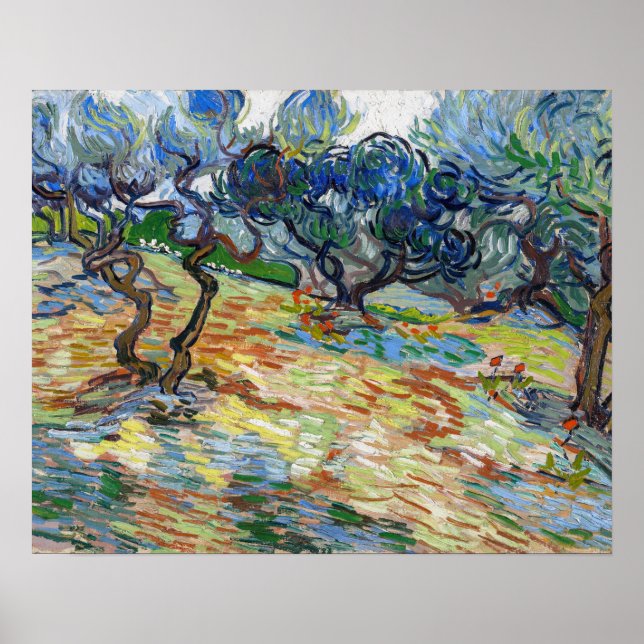 Vincent van Gogh - Olivträd: Ljusblå himmel Poster (Framsidan)