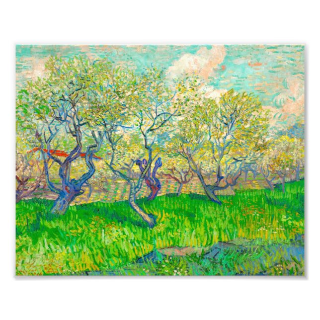 Vincent van Gogh Orchard i Blommar Fototryck (Framsidan)