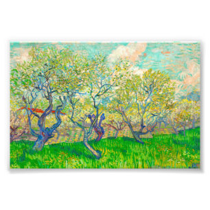 Vincent van Gogh Orchard i Blommar Fototryck