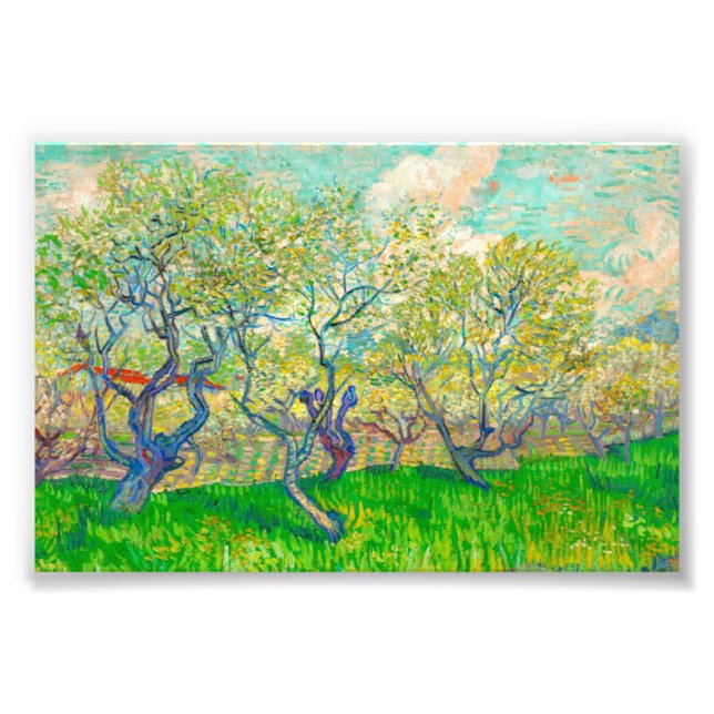 Vincent van Gogh Orchard i Blommar Fototryck (Framsidan)