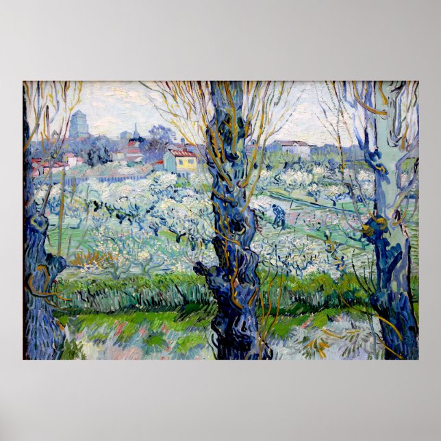 Vincent van Gogh - Orchard i Blommar Poster (Framsidan)