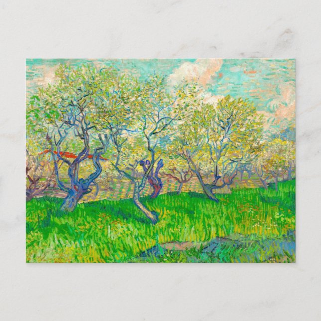 Vincent van Gogh Orchard i Blommar Vykort (Framsida)