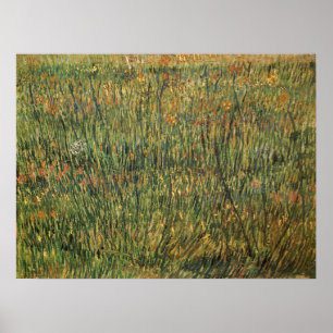 Vincent van Gogh - Pasture in Bloom Poster