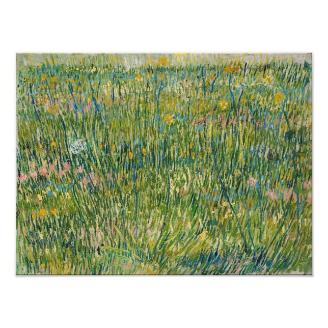 Vincent van Gogh - Pigg av gräs Fototryck (Framsidan)