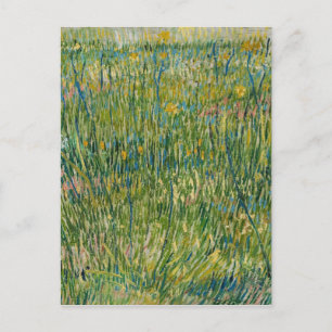 Vincent van Gogh - Pigg av gräs Vykort