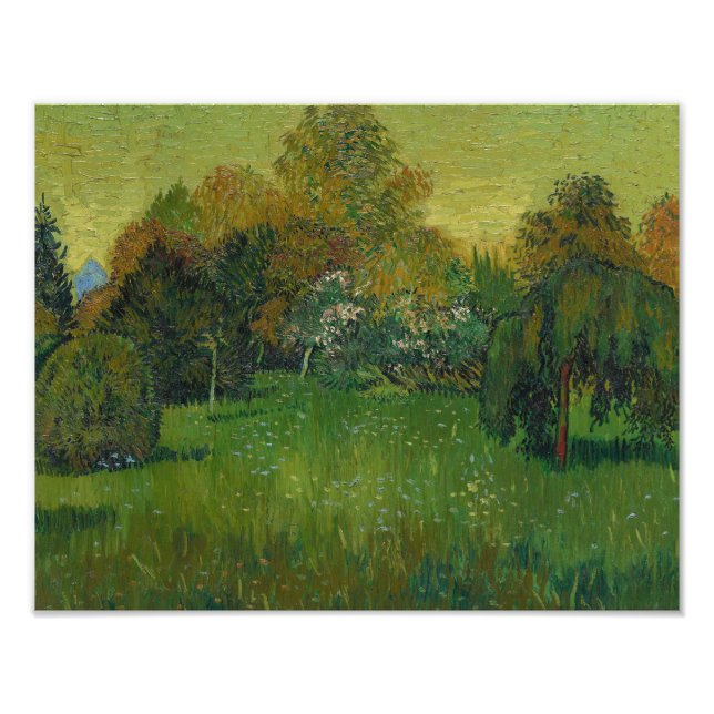 Vincent van Gogh - Poets Garden Fototryck (Framsidan)