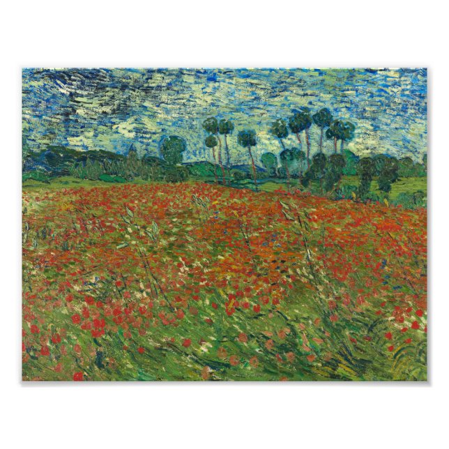 Vincent van Gogh - Poppy Fält Fototryck (Framsidan)