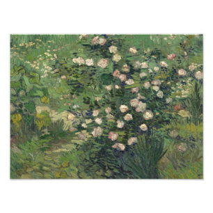Vincent van Gogh - Ro Fototryck