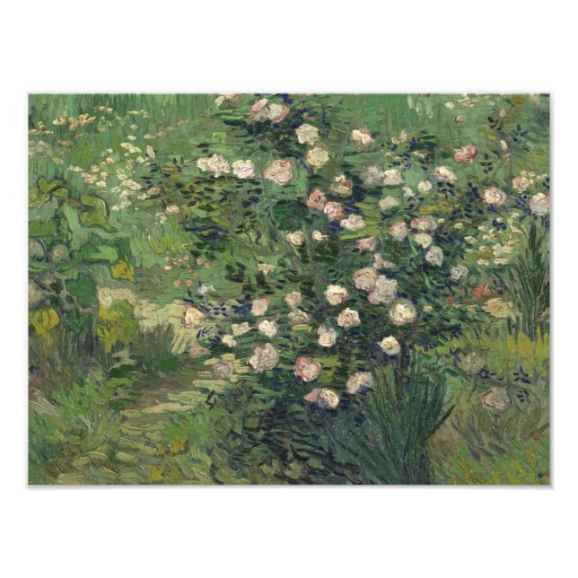 Vincent van Gogh - Ro Fototryck (Framsidan)