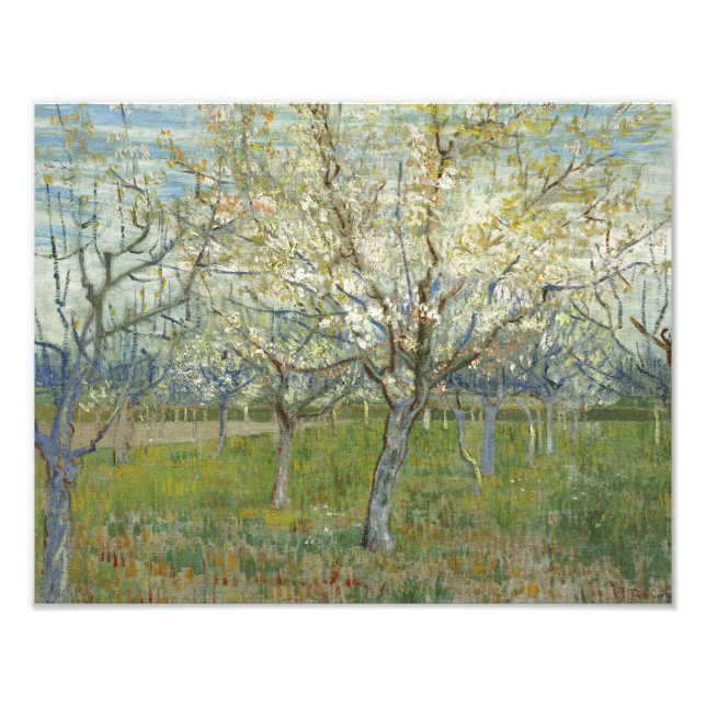 Vincent van Gogh - Rosa Orchard Fototryck (Framsidan)